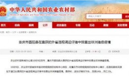 竹山农香最新爆料新闻报道,揭秘农产品背后的秘密与真相