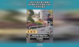 开封网民爆料最新新闻,揭秘古城新动态，聚焦民生热点事件